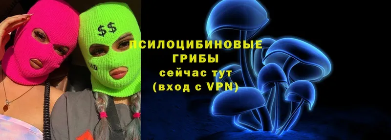 Галлюциногенные грибы MAGIC MUSHROOMS  Рассказово 